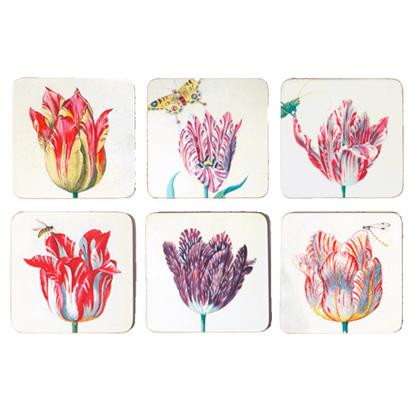 Onderzetters Tulpen