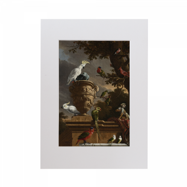 Passe-partout | De menagerie