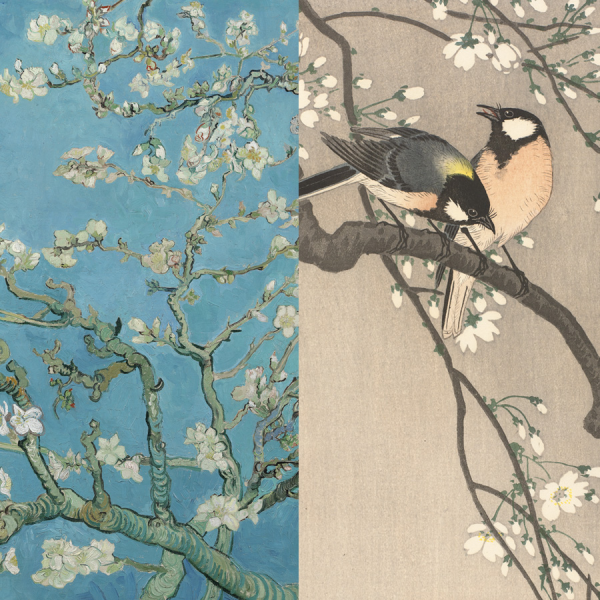 IXXI L Bloesems VG en Koson