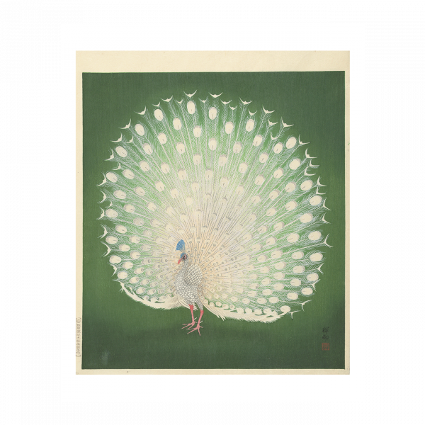 Poster: Pauw, Ohara Koson 50x70